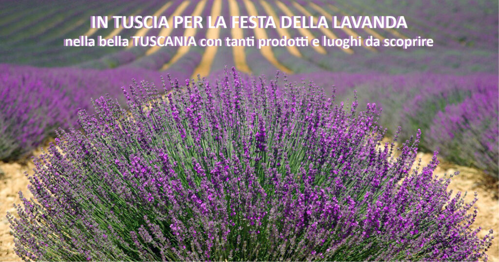 Tuscia per la Festa della Lavanda e le bellezze di Tuscania